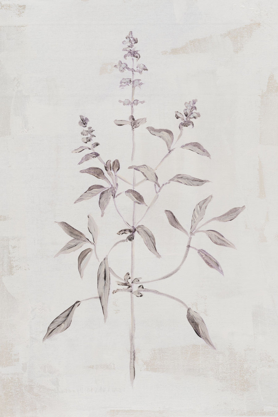 Delicate Meadow III Mural Wallpaper