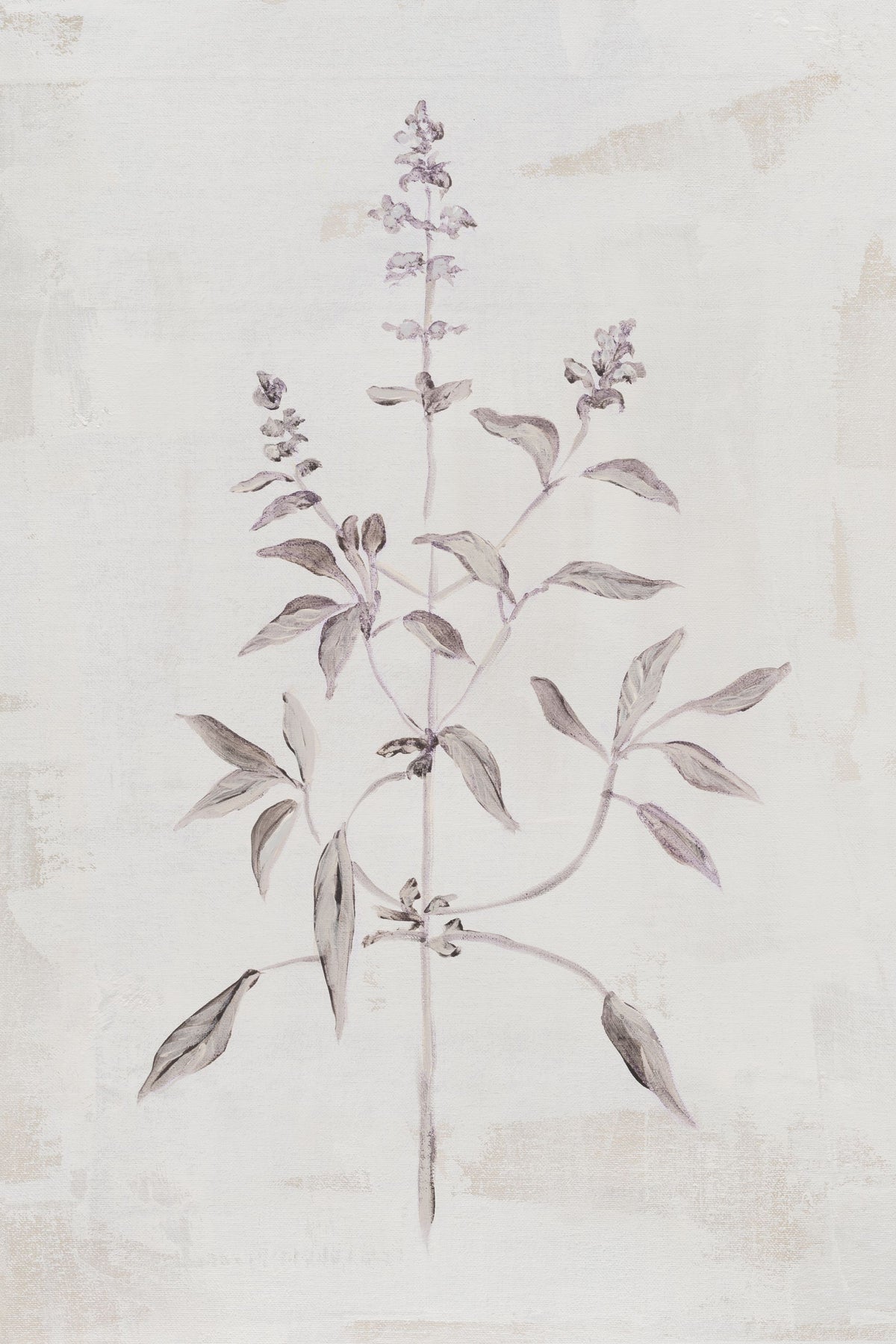 Delicate Meadow III Mural Wallpaper - pure wallpaper artwork