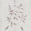 Delicate Meadow III Mural Wallpaper - pure wallpaper artwork