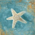 Treasures From the Sea Aqua II Mural Wallpaper - pure wallpaper artwork