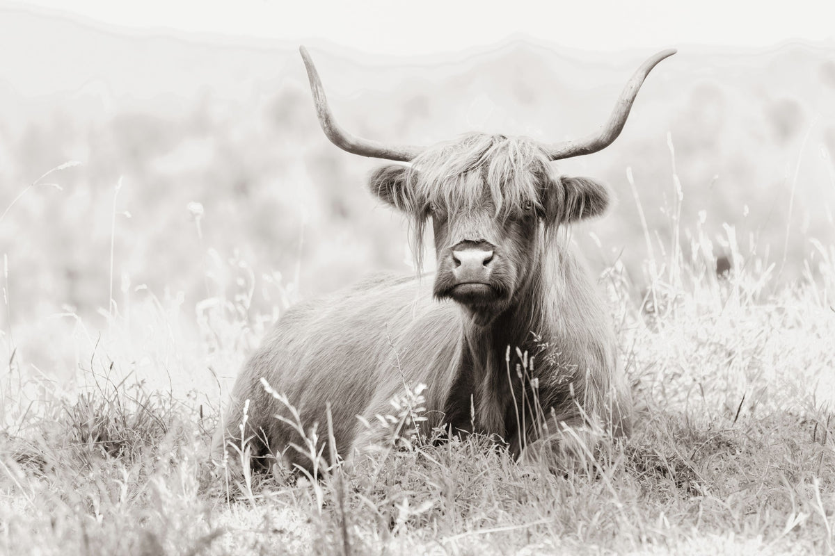 Meadow Guardian I Mural Wallpaper - pure wallpaper artwork
