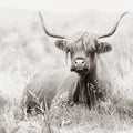 Meadow Guardian I Mural Wallpaper - pure wallpaper artwork