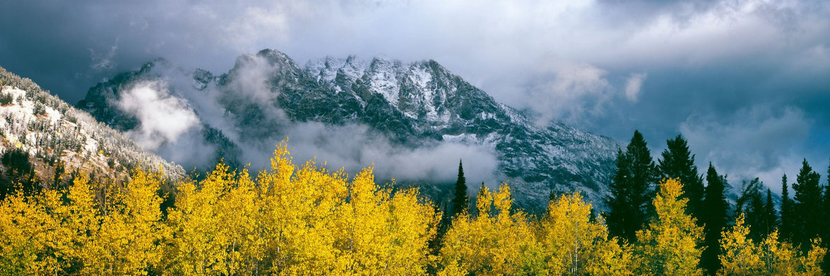 Grand Teton Fall Mural Wallpaper - pure wallpaper artwork