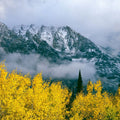 Grand Teton Fall Mural Wallpaper - pure wallpaper artwork
