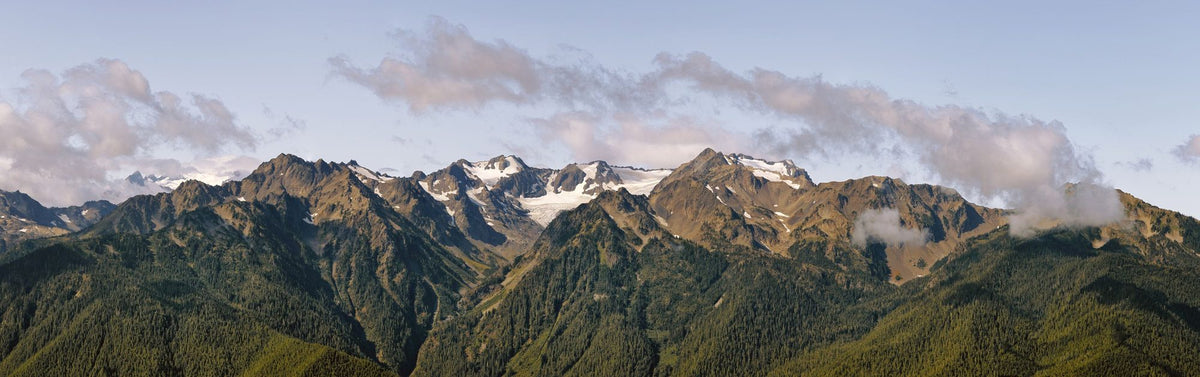 Olympic Mountains Mural Wallpaper - Neutral Tone - pure wallpaper artwork