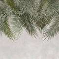 Palms Around Us Mural Wallpaper - Neutral Tone - pure wallpaper artwork