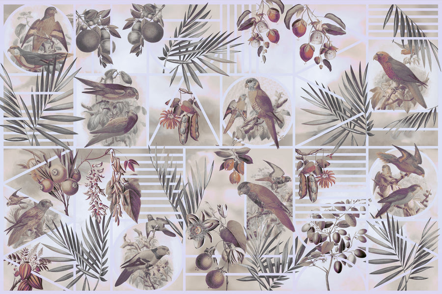 Parrots Study Mural Wallpaper - Neutral Tone