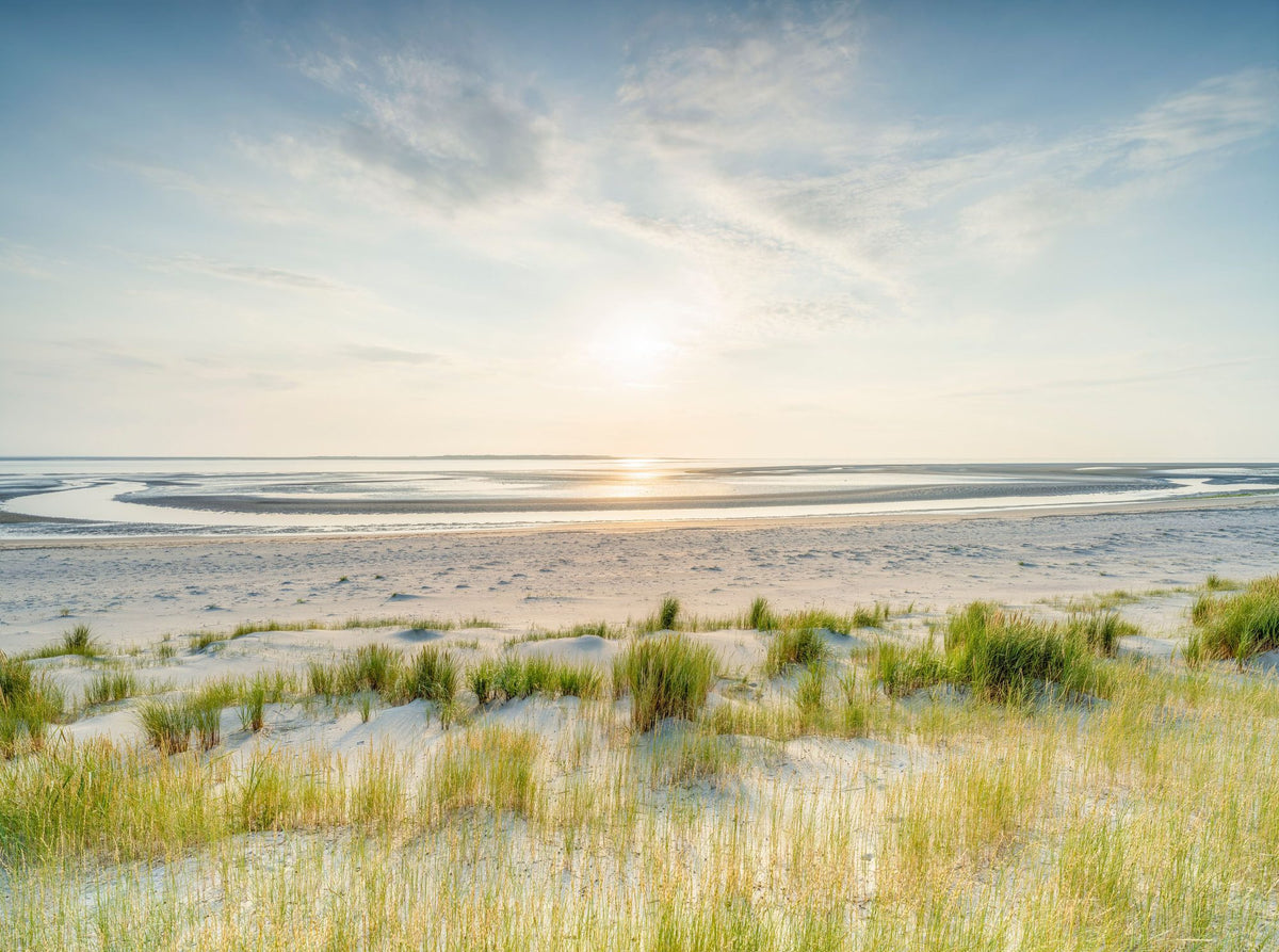 Dune Beach Sunset Mural Wallpaper - pure wallpaper artwork