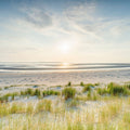 Dune Beach Sunset Mural Wallpaper - pure wallpaper artwork