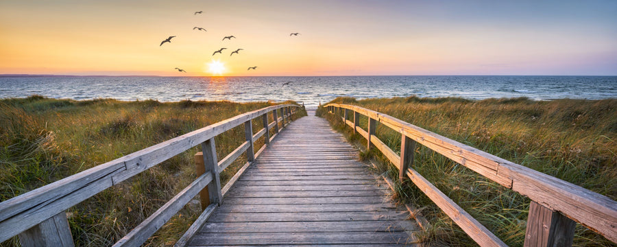 Baltic Boardwalk Birds Mural Wallpaper