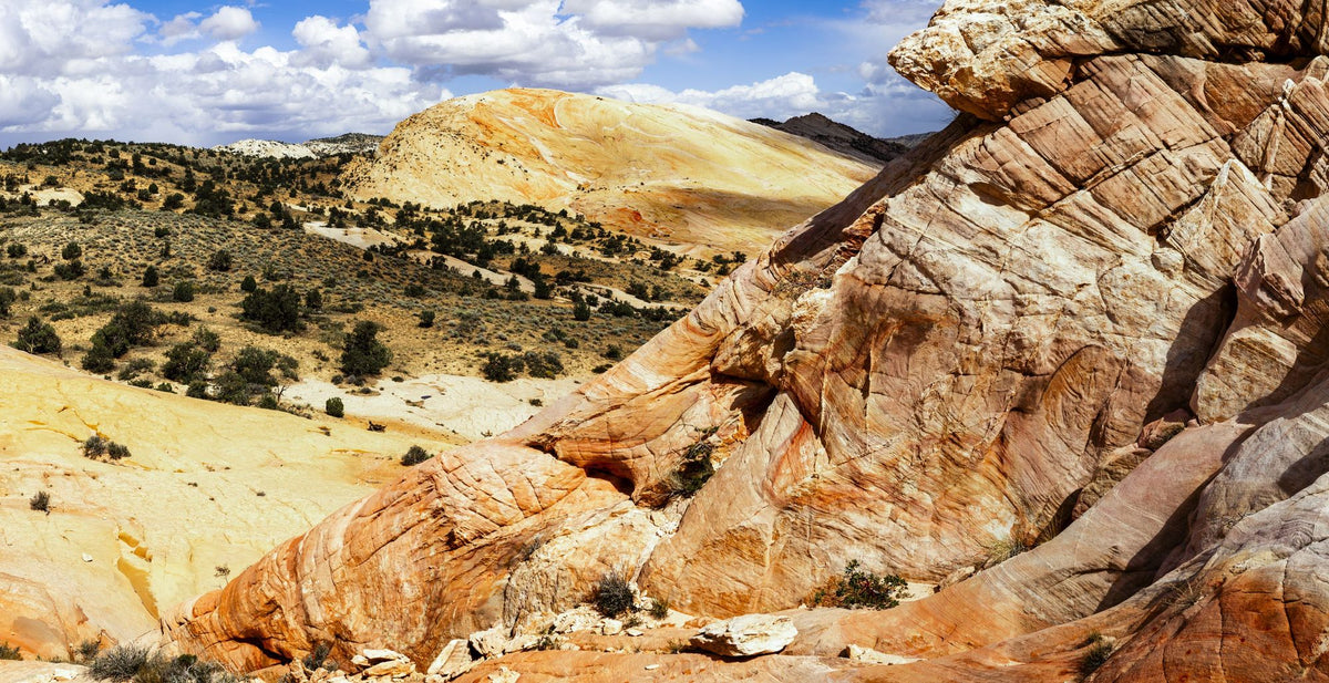 Canyon Stripes Mural Wallpaper - pure wallpaper artwork
