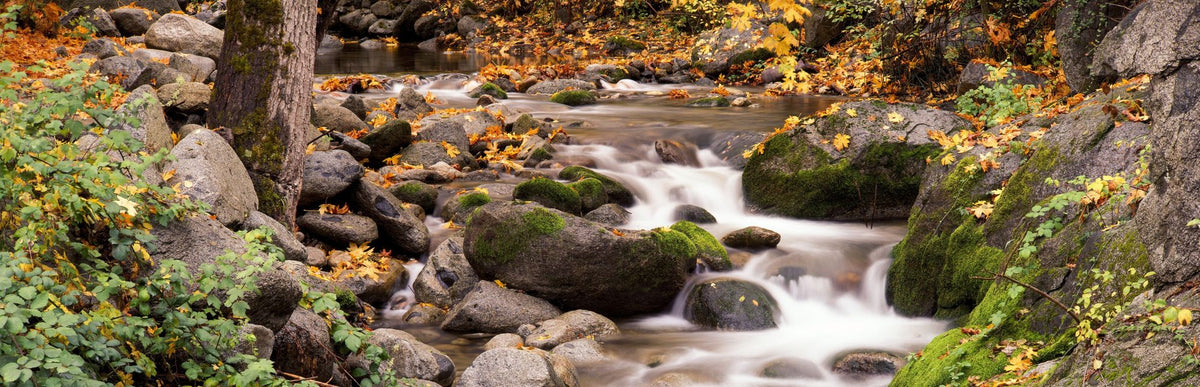 Autumn Creek Serenity Mural Wallpaper - pure wallpaper artwork