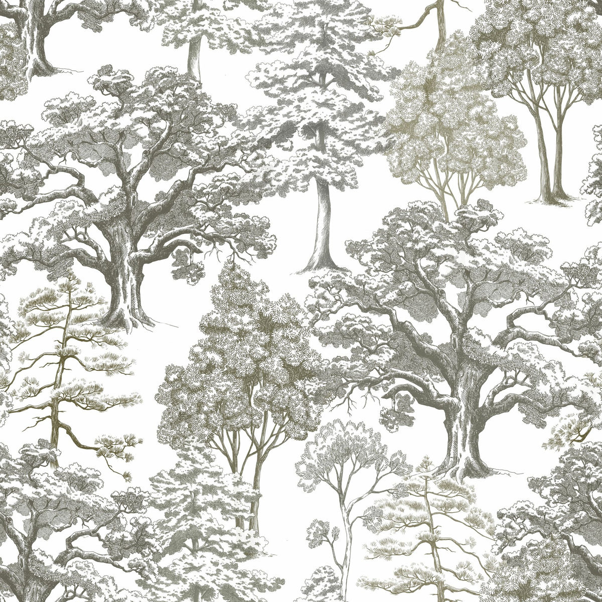 Park Trees, White Mural Wallpaper - pure wallpaper artwork