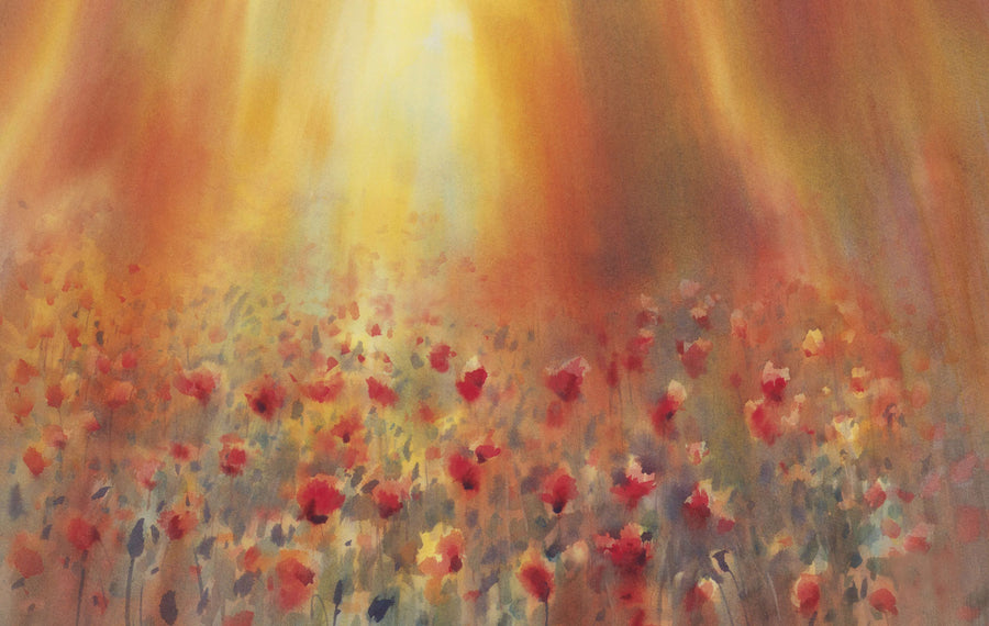 Sunlit Poppy Field Mural Wallpaper