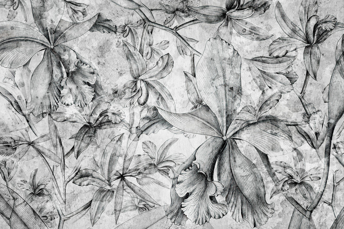 Orchids Sketch Mural Wallpaper - Neutral Tone - pure wallpaper artwork
