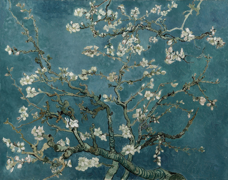 Almond Blossom, Teal Breeze Mural Wallpaper