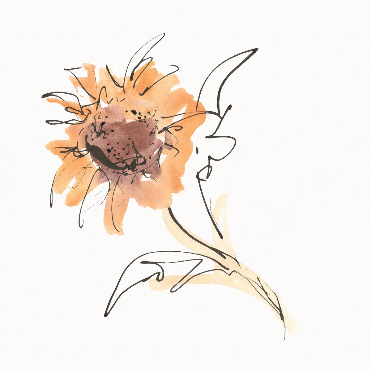 Apricot Sunflower I Mural Wallpaper - pure wallpaper artwork