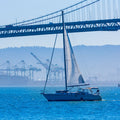 Sailing the Bay Mural Wallpaper - pure wallpaper artwork