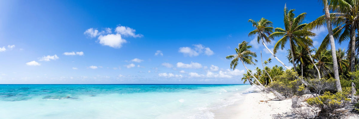 Fakarava Beach Mural Wallpaper - pure wallpaper artwork