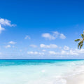 Fakarava Beach Mural Wallpaper - pure wallpaper artwork