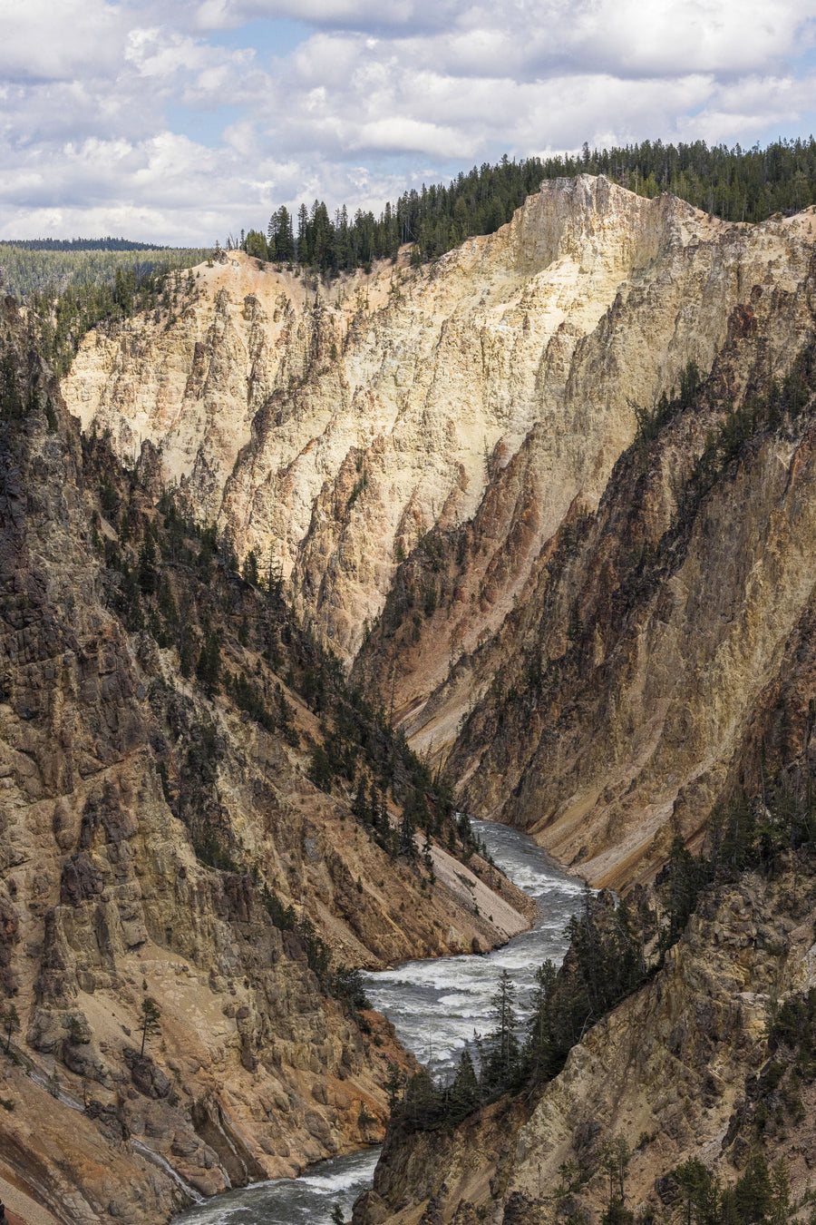 Yellowstone Summer Mural Wallpaper
