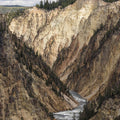 Yellowstone Summer Mural Wallpaper - pure wallpaper artwork