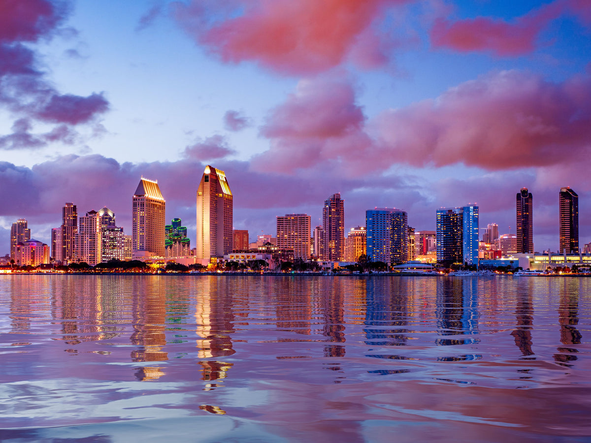 San Diego Skyline Mural Wallpaper - pure wallpaper artwork