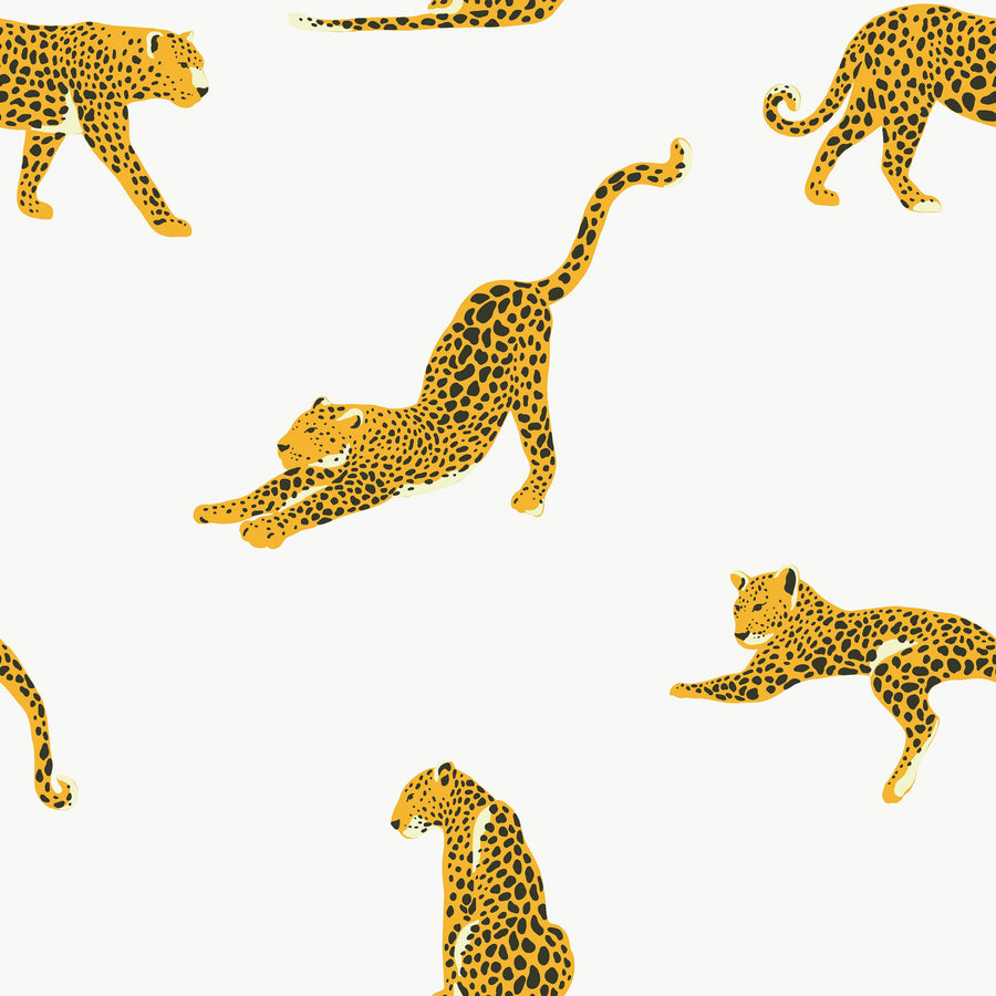 Big Cat Mural Wallpaper