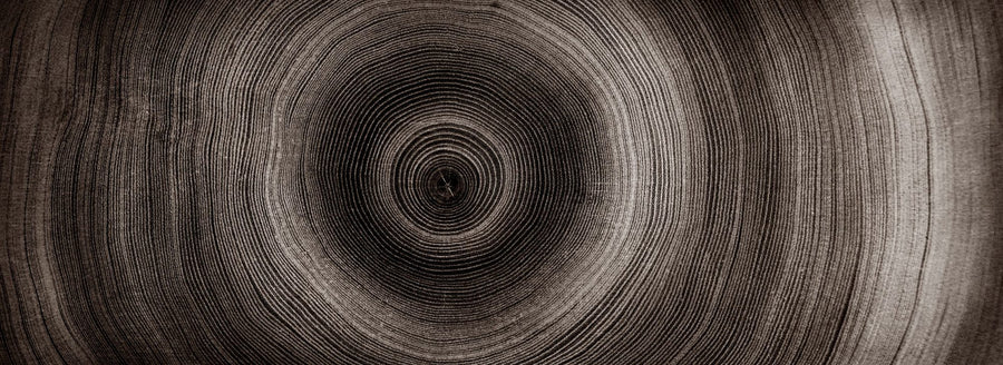 Abstract Wallpaper Mural – Modern Art Wall Mural – Timber Core - Neutral Tone printable artwork