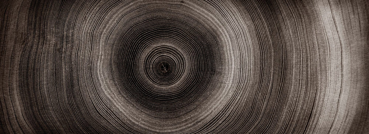 Timber Core Mural Wallpaper - Neutral Tone - pure wallpaper artwork