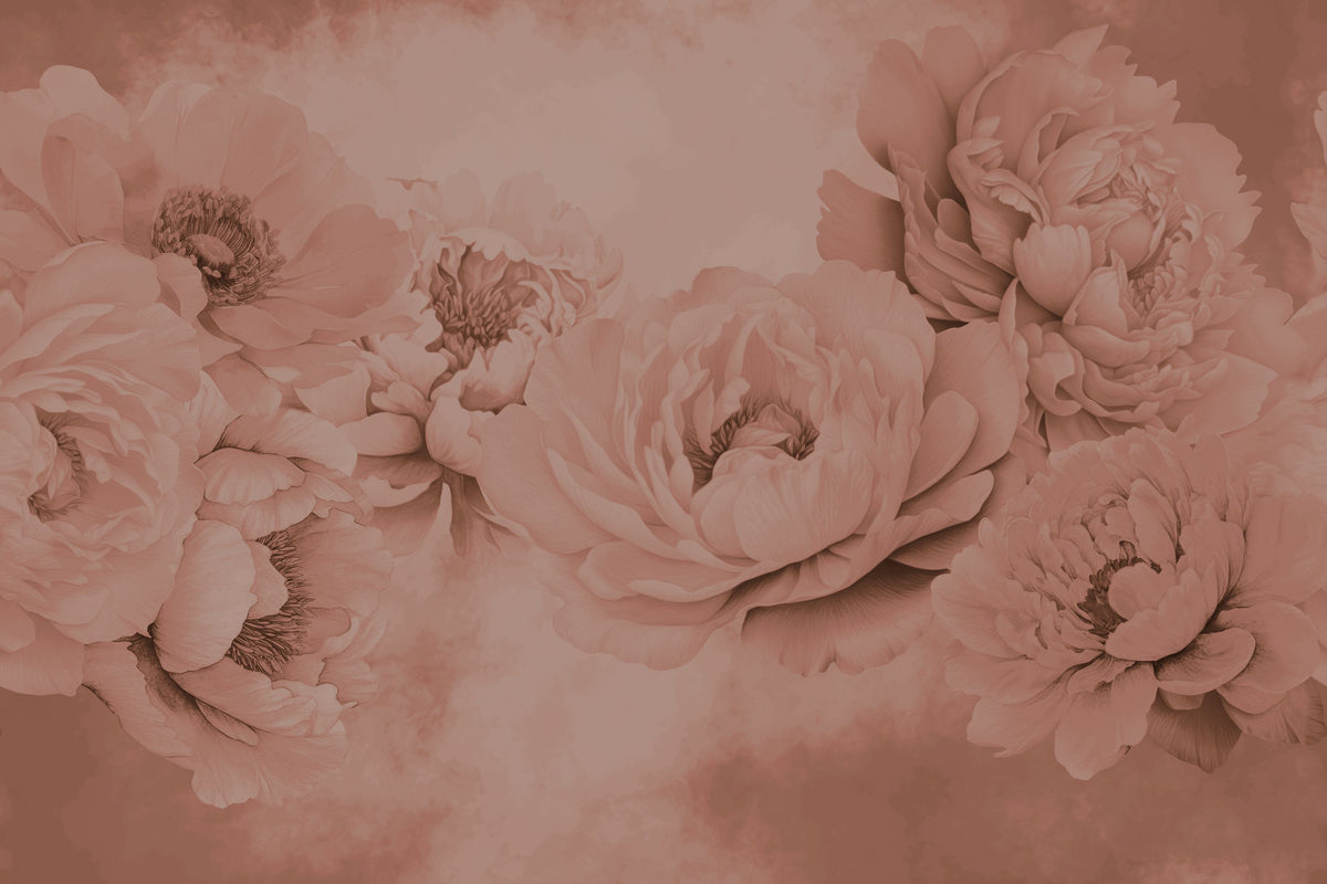 Transcendent Peony, Rose Mural Wallpaper - pure wallpaper artwork