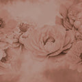 Transcendent Peony, Rose Mural Wallpaper - pure wallpaper artwork