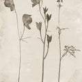 Wildflower Journal Vintage III Mural Wallpaper - pure wallpaper artwork