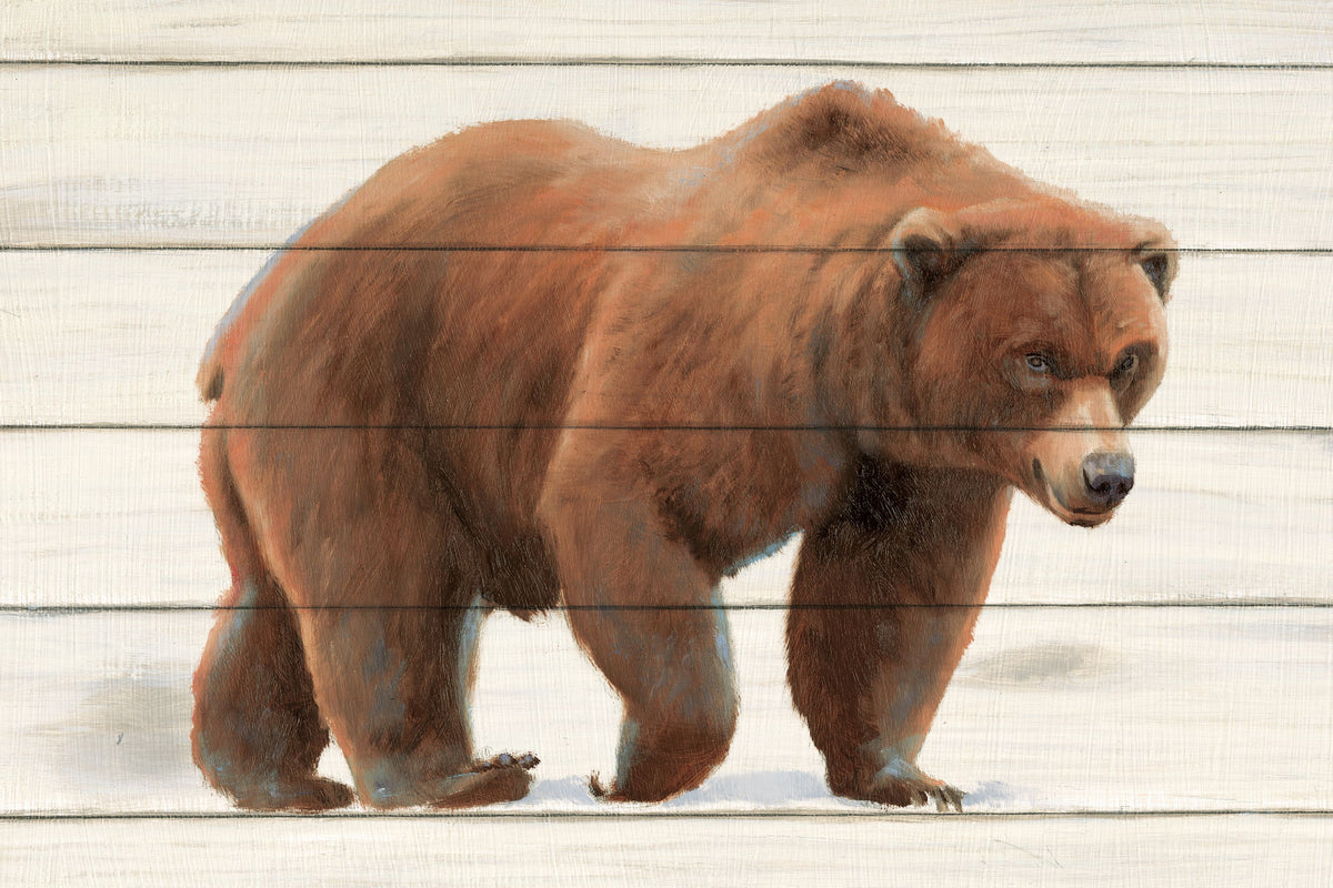 Woody Bear Mural Wallpaper - pure wallpaper artwork
