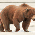 Woody Bear Mural Wallpaper - pure wallpaper artwork