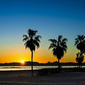 Palm Baja Dawn Mural Wallpaper - pure wallpaper artwork