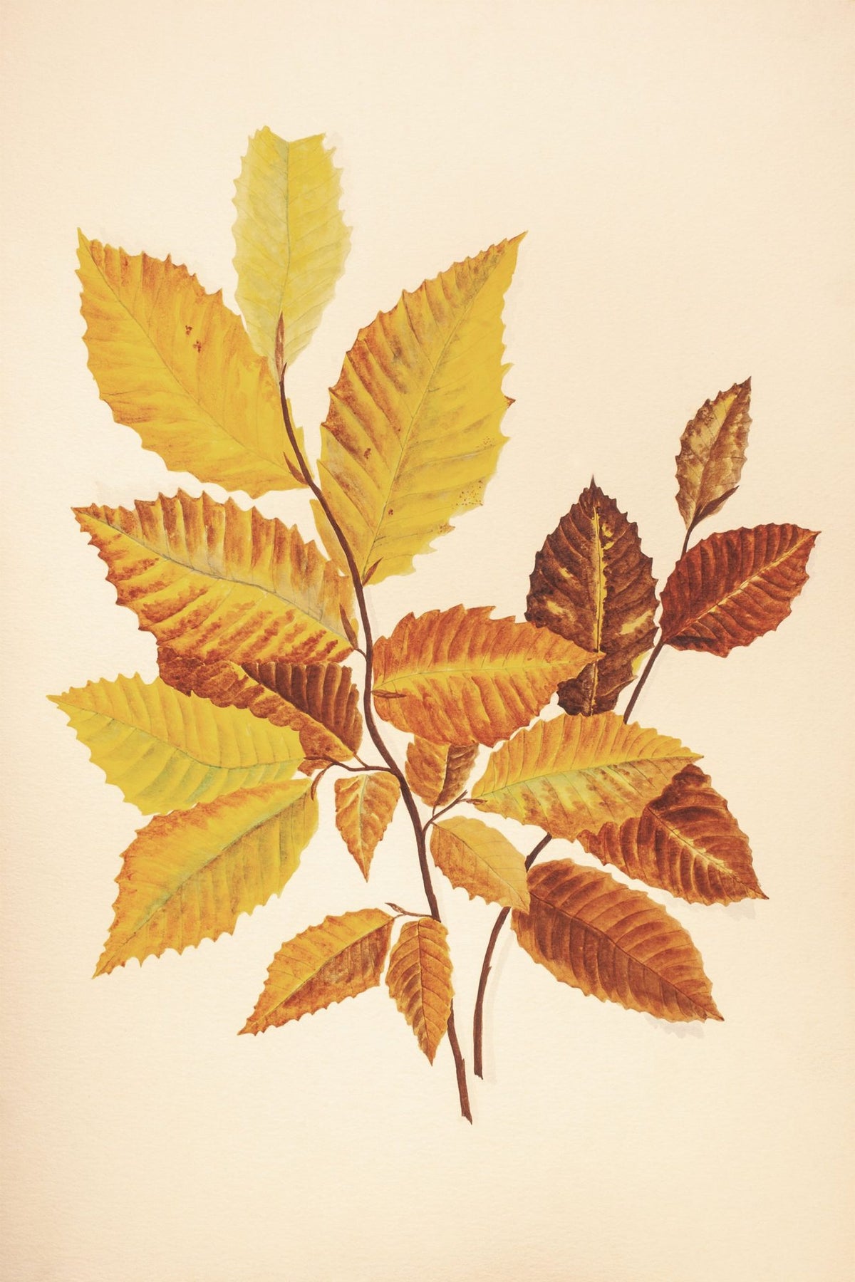 Fall Leaves IV Muted Mural Wallpaper - pure wallpaper artwork