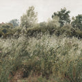Meadow Whisper, Grass Green Mural Wallpaper - pure wallpaper artwork