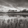 Little Redfish Mirror Mural Wallpaper - pure wallpaper artwork