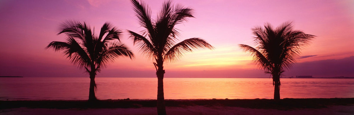 Tropical Twilight Silhouette Mural Wallpaper - Red Tone - pure wallpaper artwork