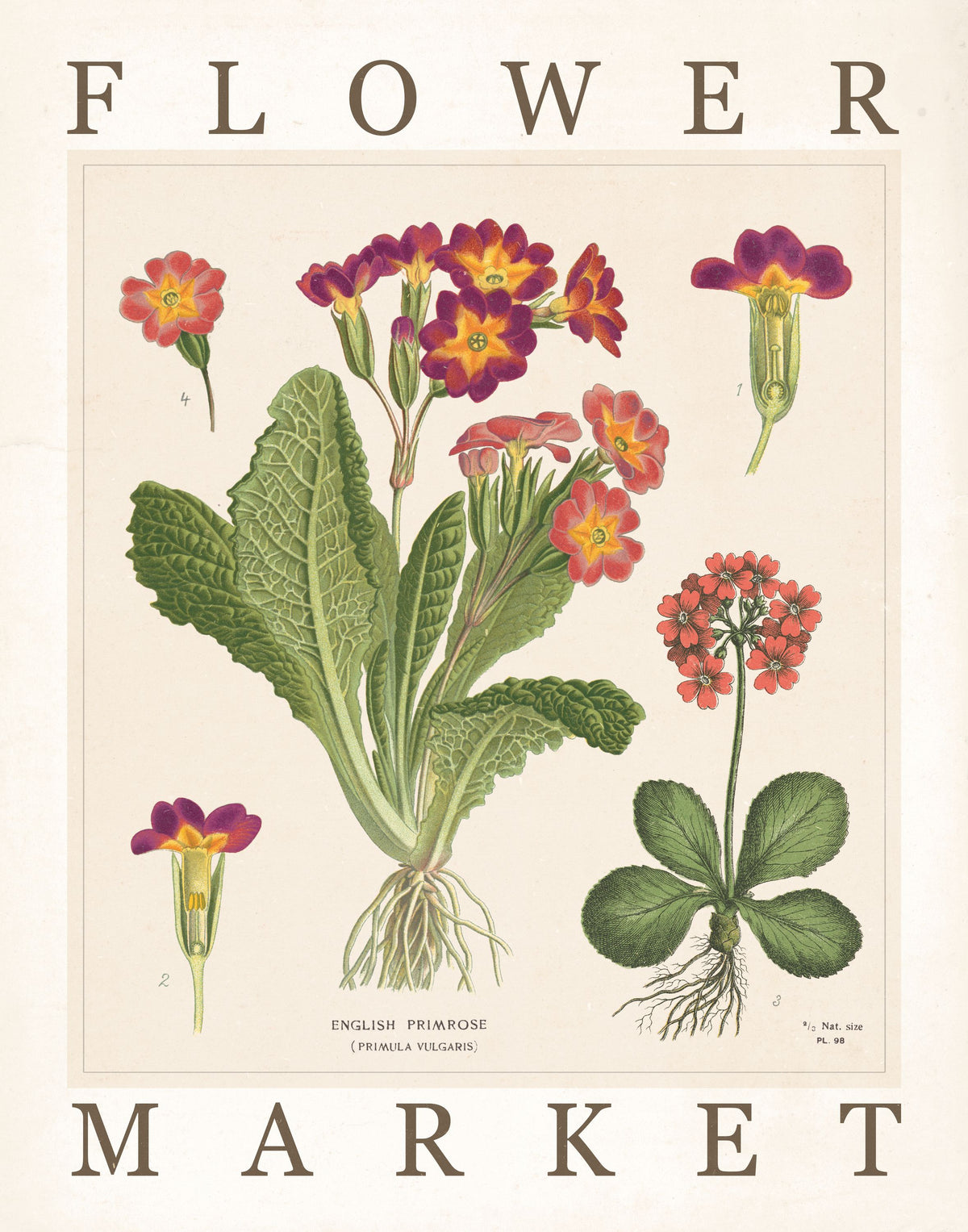 Flower Market Chart II Mural Wallpaper - pure wallpaper artwork