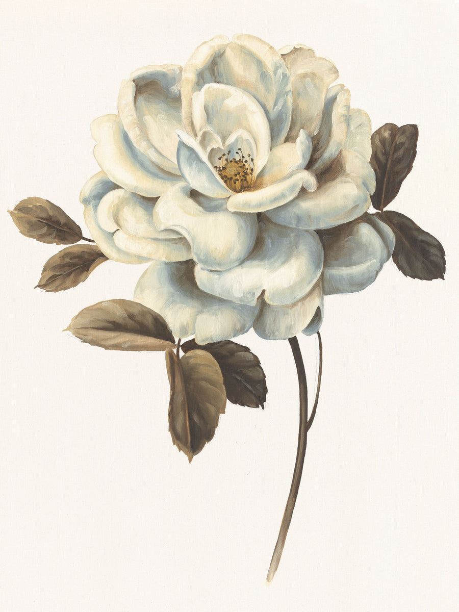 Floral Bliss Rose II Mural Wallpaper