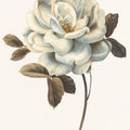 Floral Bliss Rose II Mural Wallpaper - pure wallpaper artwork