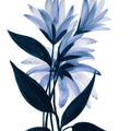 Midnight Blossoms I Mural Wallpaper - pure wallpaper artwork