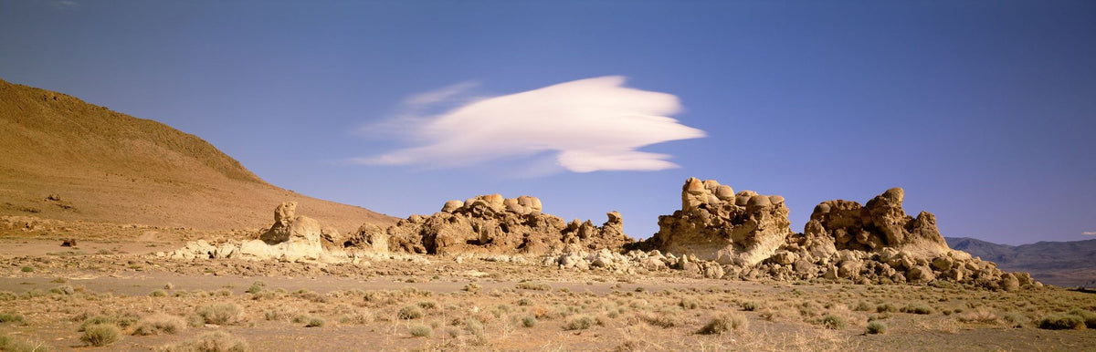 Desert Solitude Mural Wallpaper - pure wallpaper artwork