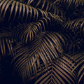 Tigers Nest Mural Wallpaper - pure wallpaper artwork