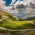 Cottonwood Bend Mural Wallpaper - pure wallpaper artwork