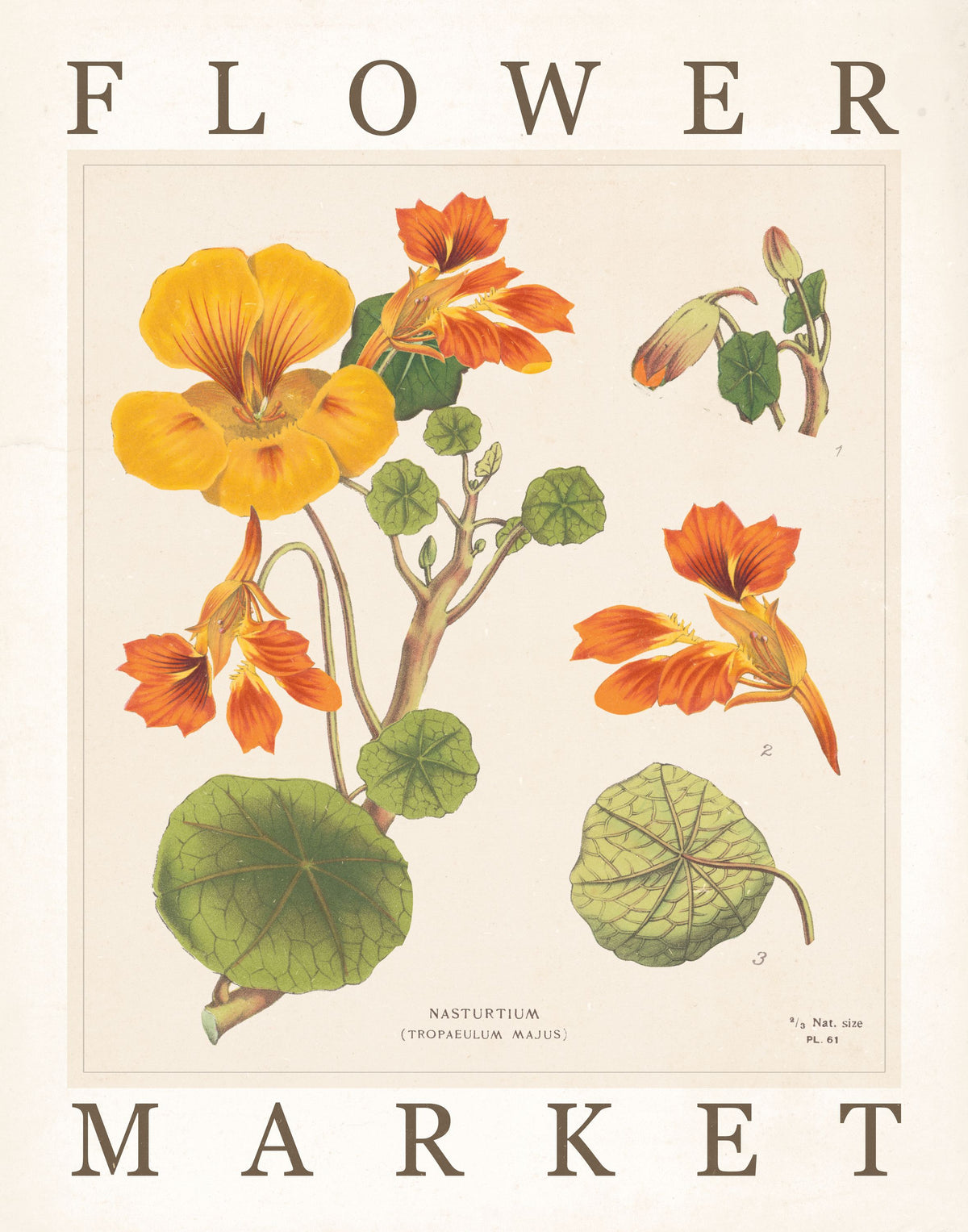 Flower Market Chart III Mural Wallpaper - pure wallpaper artwork