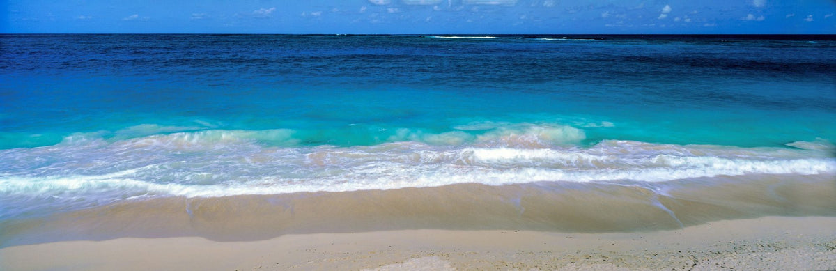 Serene Shoreline Mural Wallpaper - pure wallpaper artwork