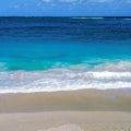 Serene Shoreline Mural Wallpaper - pure wallpaper artwork